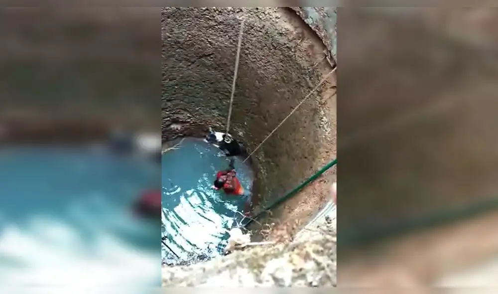 Desliza para enterarte cómo logra esta mujer rescatar a un pobre perrito atrapado en el fondo de un pozo. Foto: Captura. Desliza para enterarte cómo logra esta mujer rescatar a un pobre perrito atrapado en el fondo de un pozo. Foto: Captura.