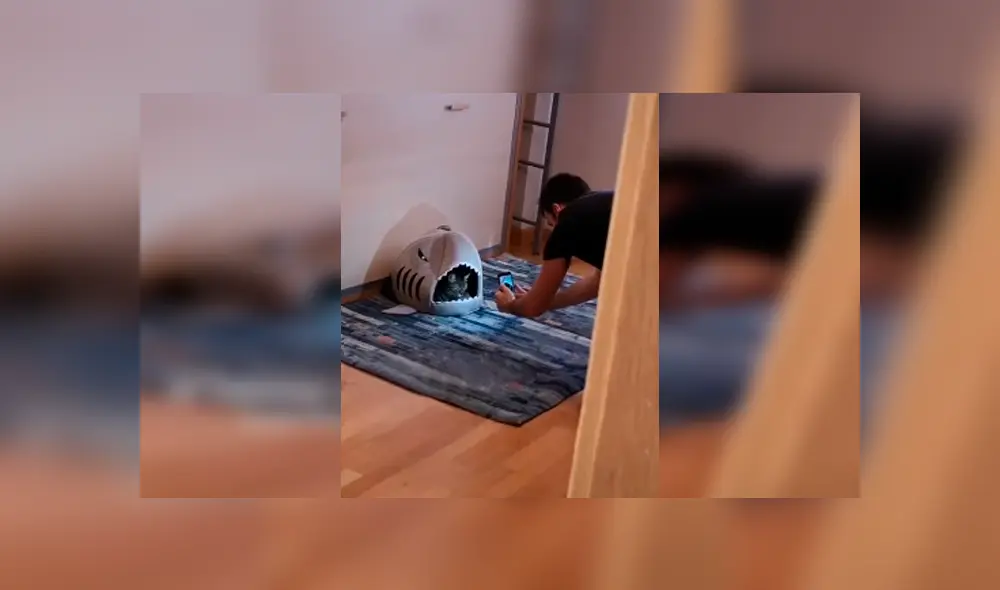 Desliza las imágenes para apreciar la curiosa escena protagonizada por un joven junto a la mascota de su pareja.