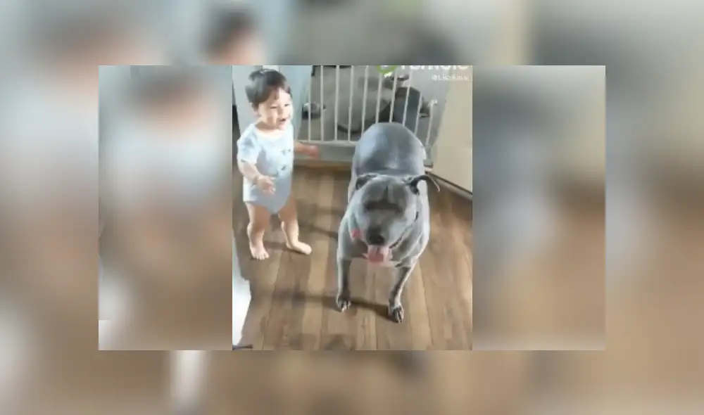 Desliza las imágenes para ver más detalles de esta escena viral de YouTube. Desliza las imágenes para ver más detalles de esta escena viral de YouTube.