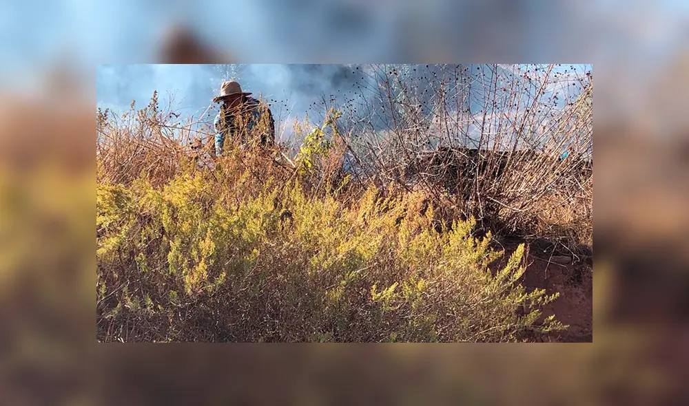 Cerro Picol Cerro Picol