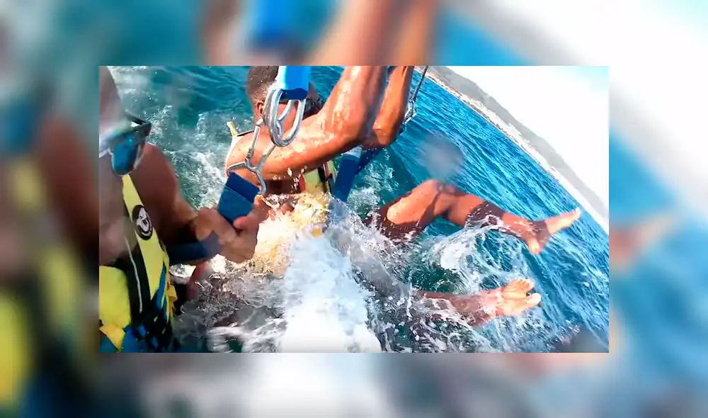 Hombres se sumergen en mar repleto de medusas venenosas, sin imaginar lo que pasaría [VIDEO] 