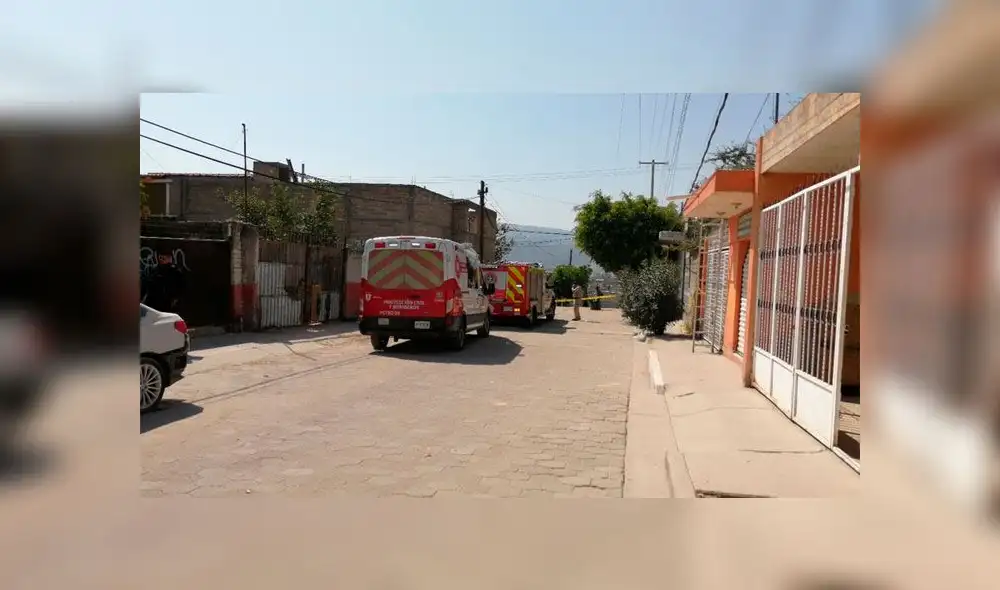 Niño de siete años cae de un árbol, es atacado por pitbull y muere