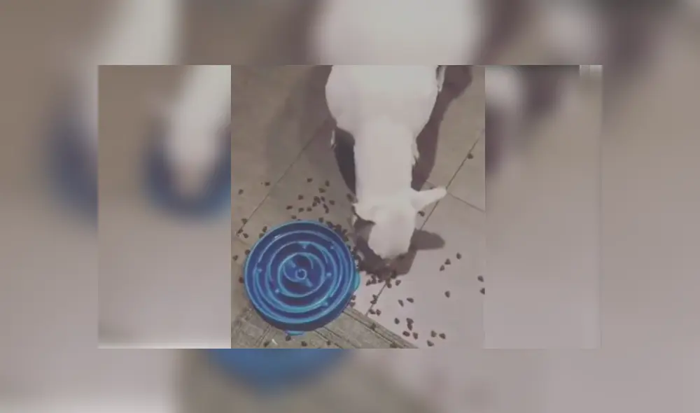 Desliza para ver los detalles del video viral publicado en YouTube. Foto: Captura.