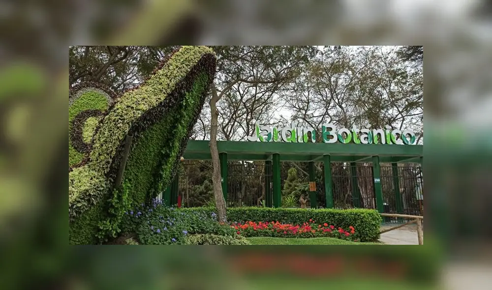 En el marco del Día del árbol, el Parque de las Leyendas invita a venir al Parque de las Leyendas. Créditos: JKarla Cruz / URPI-GLR En el marco del Día del árbol, el Parque de las Leyendas invita a venir al Parque de las Leyendas. Créditos: JKarla Cruz / URPI-GLR
