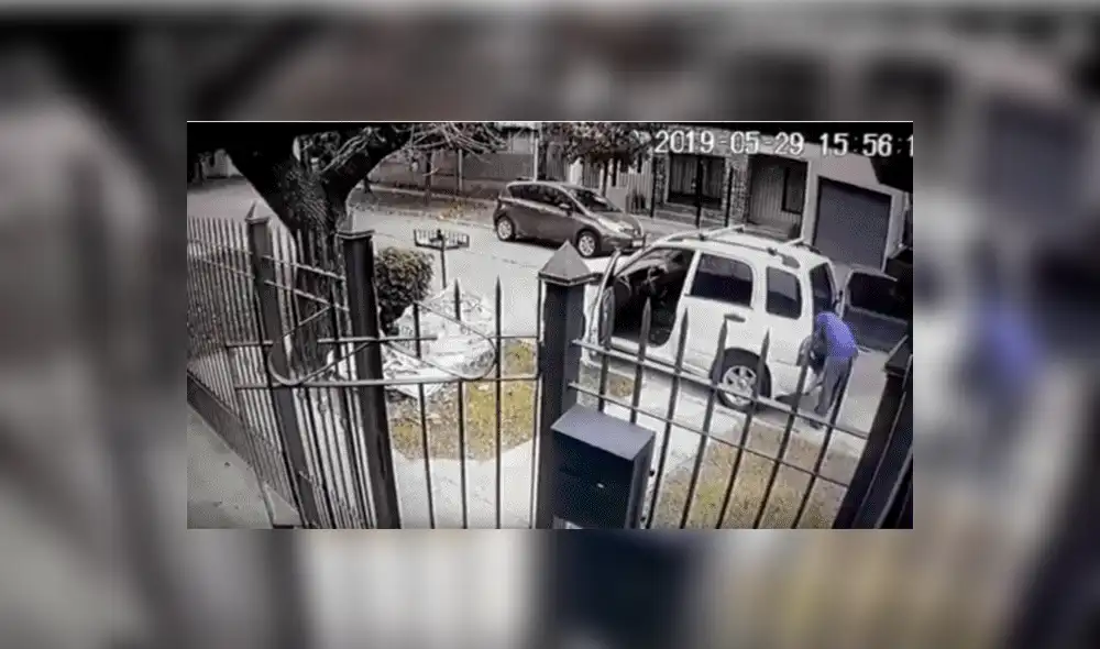 YouTube viral: Perros ven que su dueño es asaltado con pistola y lo rescatan valerosamente [VIDEO] 