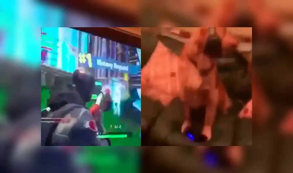 Facebook: perro juega Fortnite con su dueño y no creerás lo bien que lo hace [VIDEO]