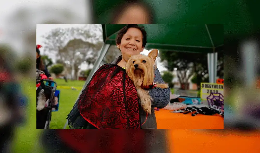 Oveja participa en concurso de mascotas por Halloween disfrazada de unicornio [FOTOS]