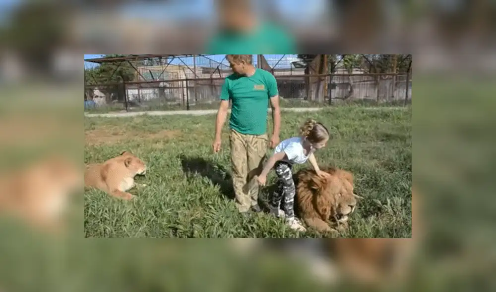 YouTube viral: Niña entra a calabozo de leones y la reacción de estos deja impactados a todos [VIDEO]