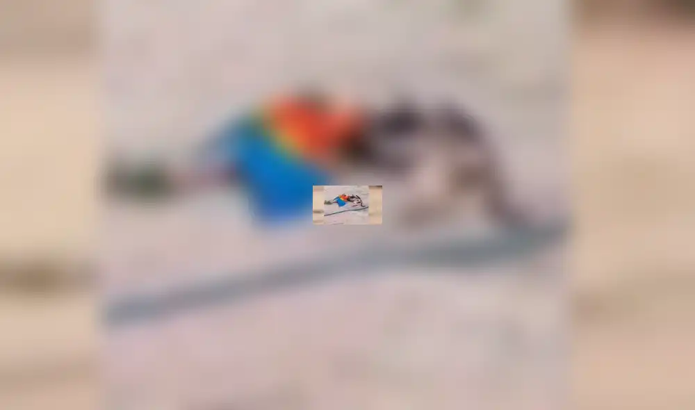 Facebook viral: Perro y loro son pillados en tierna escena de amor y miles se conmueven [VIDEO]