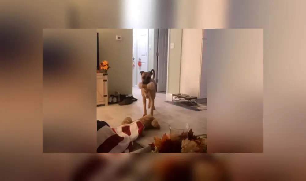 Desliza para ver los momentos más divertidos del video que se hizo viral en YouTube.