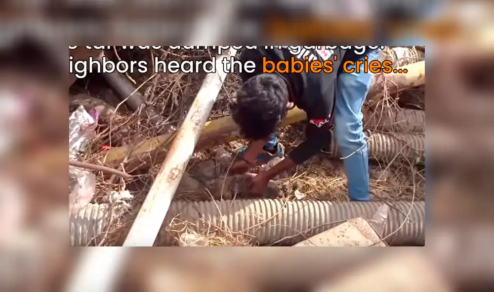 Desliza hacia la izquierda para ver el radical cambio de aspecto de un perro callejero que se volvió viral en Facebook.