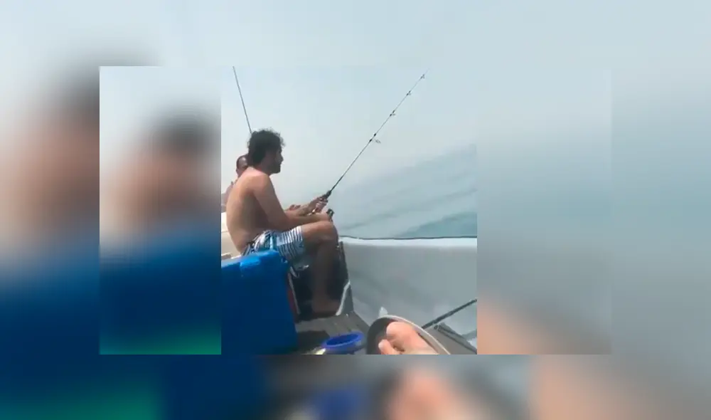 Un video muestra el instante en el que un joven se lleva el susto de su vida al ver un desconcertante ser en el agua. Un video muestra el instante en el que un joven se lleva el susto de su vida al ver un desconcertante ser en el agua.