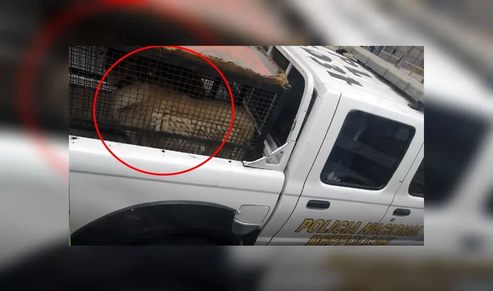 Piden mejorar las condiciones de traslado. Piden mejorar las condiciones de traslado.