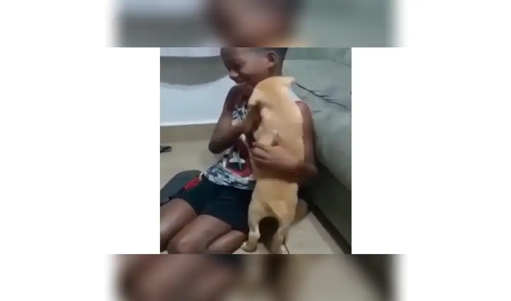 Niño rompe en llanto por recibir inesperado regalo de su madre [VIDEO]