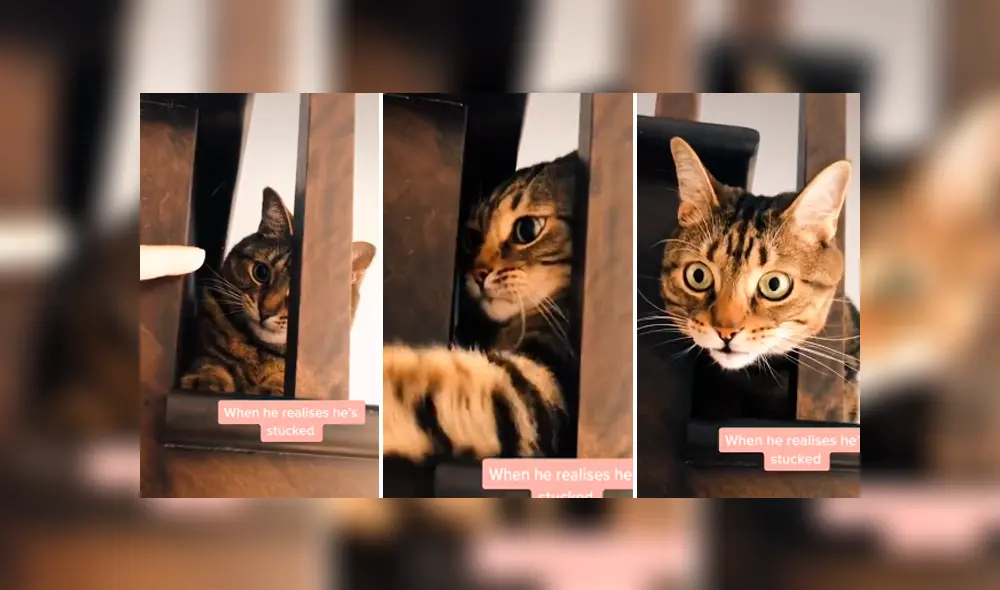 Desliza para ver todas las imágenes de Facebook. Foto: captura