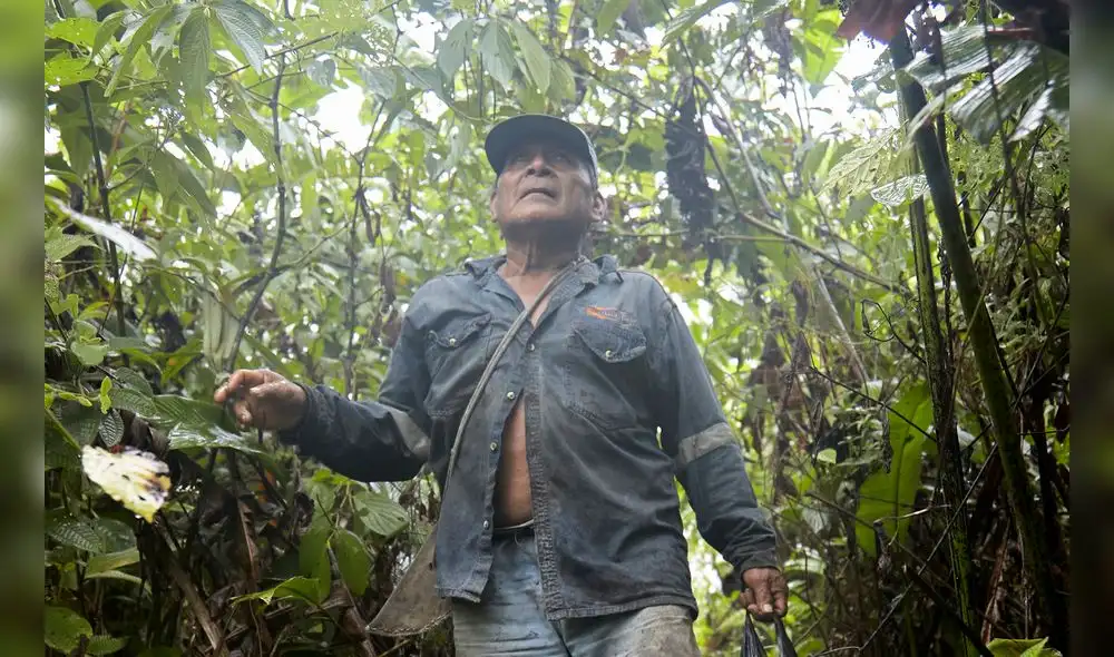 Pueblos indígenas logran que consulta previa se aplique a servicios públicos Pueblos indígenas logran que consulta previa se aplique a servicios públicos