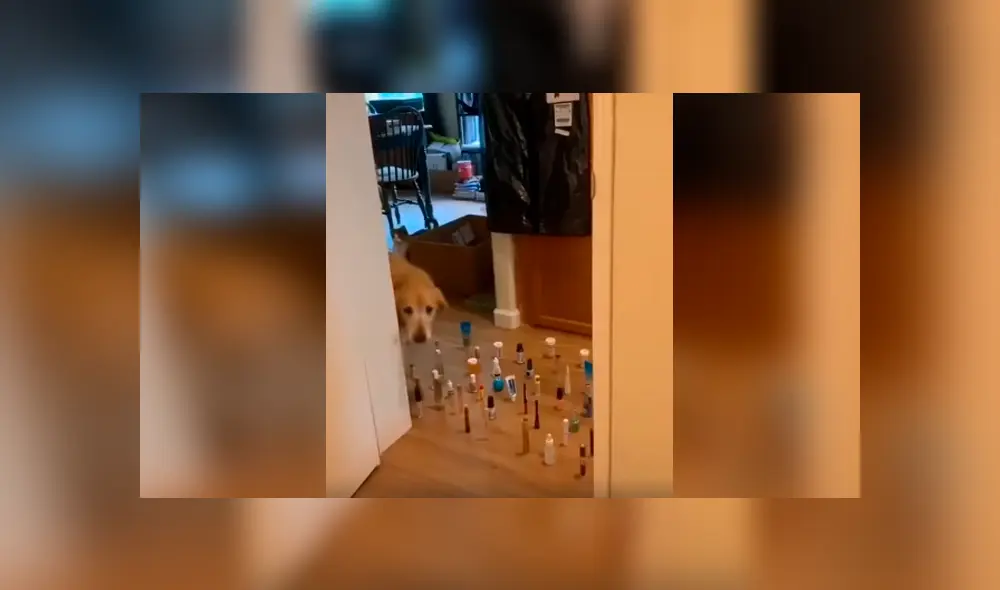 Desliza las imágenes hacia la izquierda para conocer al ganador de una divertida competencia que inventó un joven. Desliza las imágenes hacia la izquierda para conocer al ganador de una divertida competencia que inventó un joven.