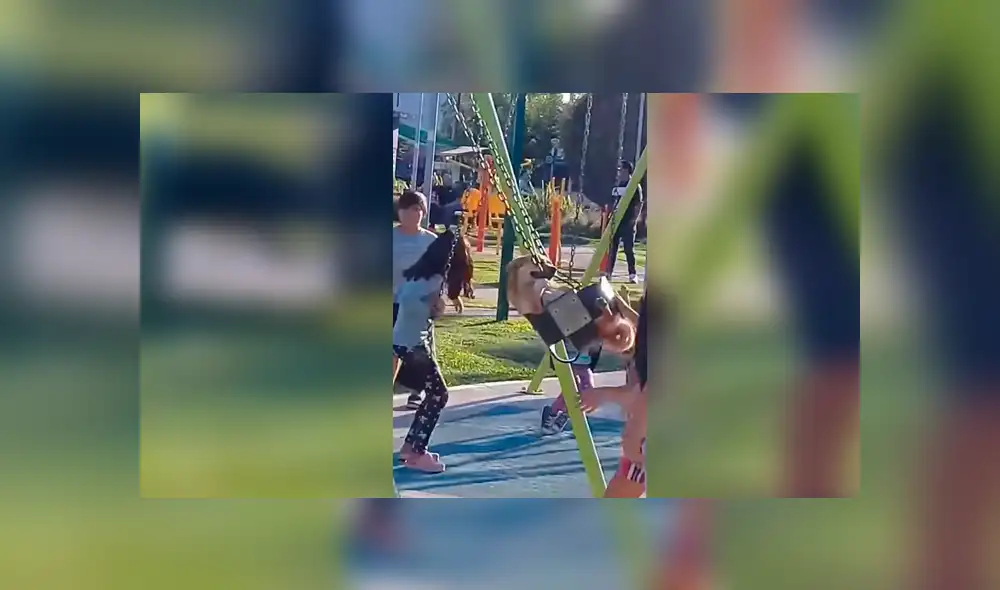 Facebook: perro disfruta a lo grande en parque de niños y causa ternura en la red [VIDEO]