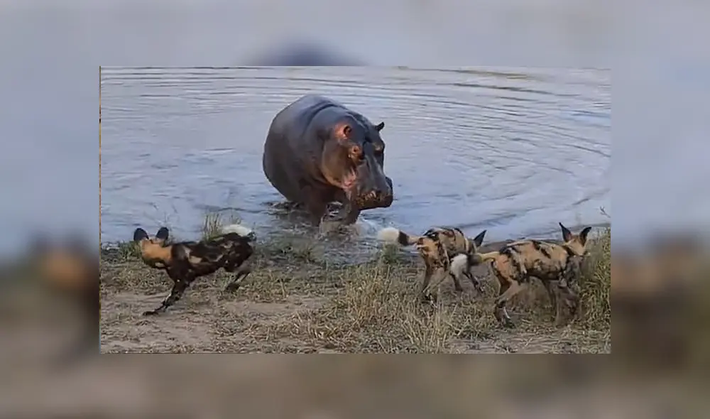 Desliza para ver los detalles del video viral de YouTube. Foto: Captura. Desliza para ver los detalles del video viral de YouTube. Foto: Captura.