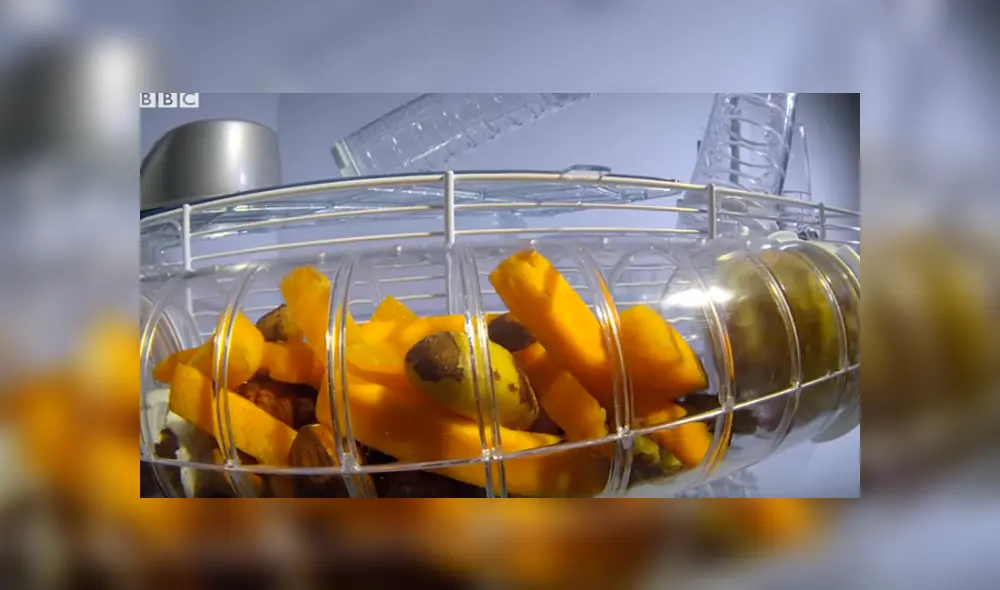 Desliza hacia la izquierda para ver las imágenes del video viral de Facebook.