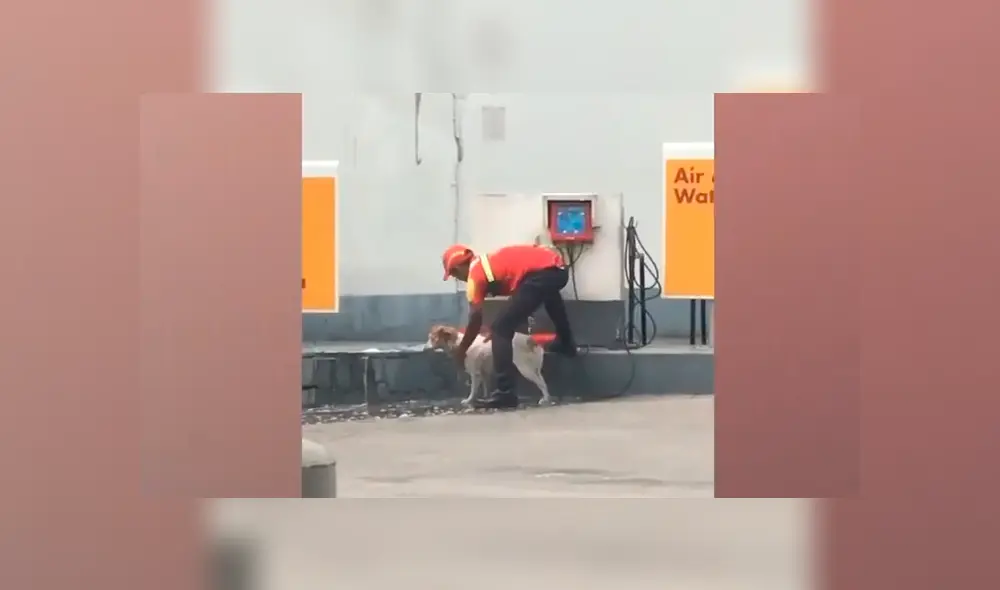 Un grifero se ganó la admiración de miles de usuarios de YouTube tras ser captado bañando a un perro callejero. Un grifero se ganó la admiración de miles de usuarios de YouTube tras ser captado bañando a un perro callejero.