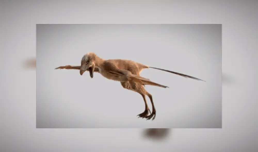 YouTube viral: Extraña criatura parecido a un dinosaurio sorprende en redes sociales [VIDEO]