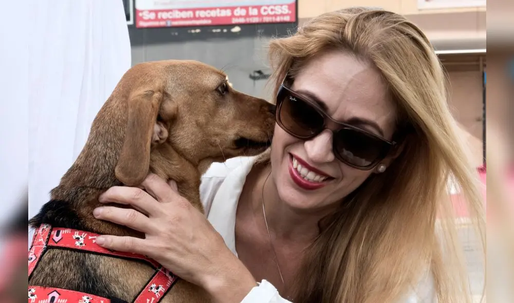 La exdueña de "Campeón", un tierno perro que fue maltratado cuando tenía tan solo seis meses, fue absuelta este viernes. Foto: La exdueña de "Campeón", un tierno perro que fue maltratado cuando tenía tan solo seis meses, fue absuelta este viernes. Foto: