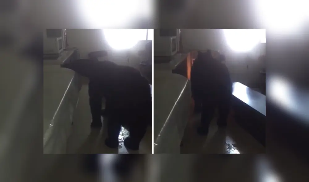 A través de Facebook se hizo viral el momento en que un gigantesco oso invade la casa de una familia mexicana. A través de Facebook se hizo viral el momento en que un gigantesco oso invade la casa de una familia mexicana.