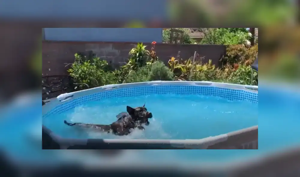 Desliza hacia la izquierda para ver las imágenes del viral de Facebook. Foto: Captura.