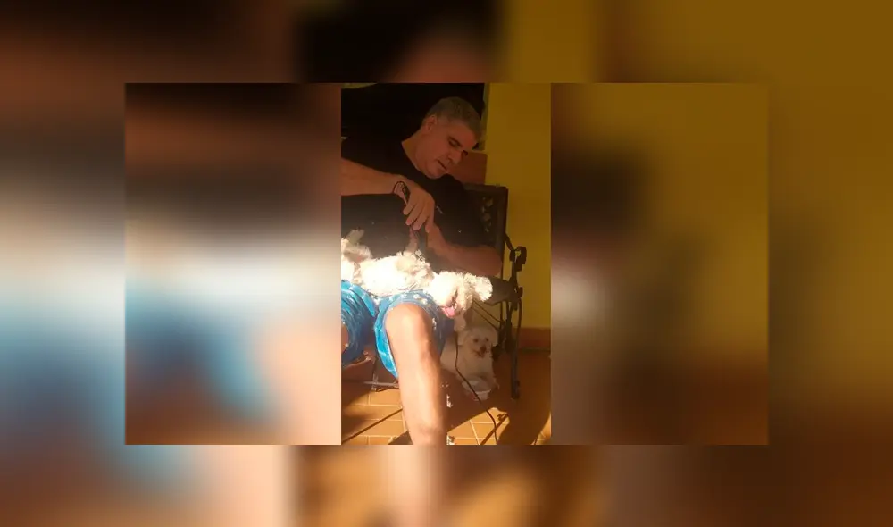 Desliza las imágenes hacia la izquierda para apreciar el inesperado ‘cambio de look’ que sufrieron unos perros. Desliza las imágenes hacia la izquierda para apreciar el inesperado ‘cambio de look’ que sufrieron unos perros.