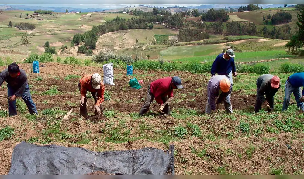 Piden bono para pequeños agricultores Piden bono para pequeños agricultores