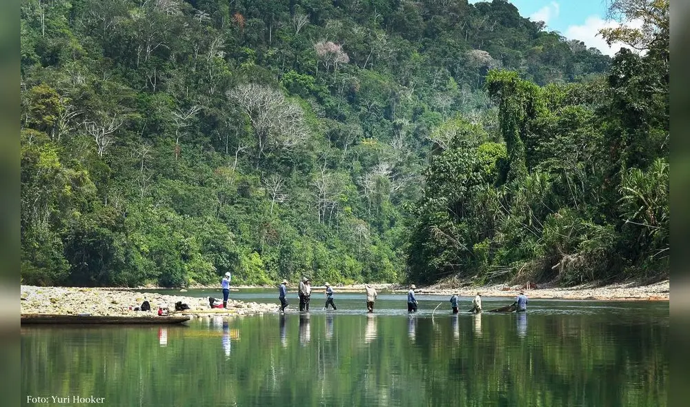 Satélites captan imágenes sorprendentes de la selva de Cusco [FOTOS]