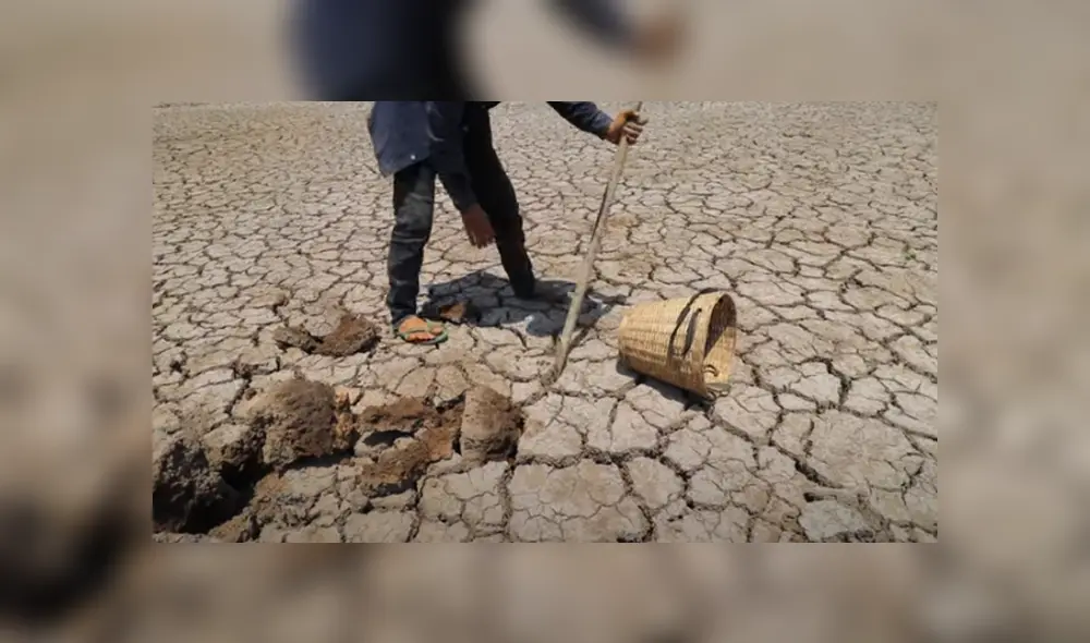 Desliza hacia la izquierda para ver las imágenes del viral de Facebook. Desliza hacia la izquierda para ver las imágenes del viral de Facebook.