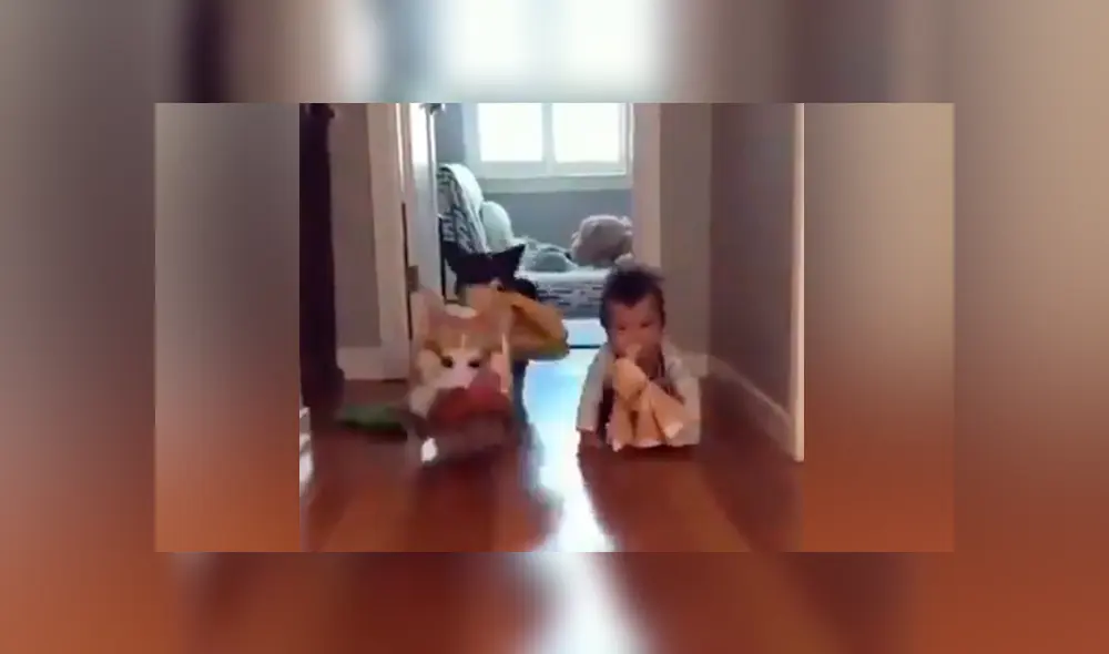 Desliza para ver los momentos más tiernos del video que se hizo viral en Facebook. Desliza para ver los momentos más tiernos del video que se hizo viral en Facebook.