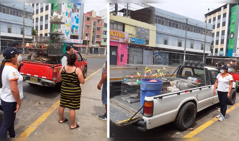 Rescatan animales encerrados en Trujillo.