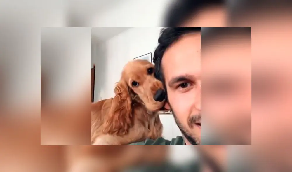 Desliza las imágenes para ver la peculiar reacción que tuvo un perro al descubrir que lo estaban filmando. Foto: Woof Woof Desliza las imágenes para ver la peculiar reacción que tuvo un perro al descubrir que lo estaban filmando. Foto: Woof Woof