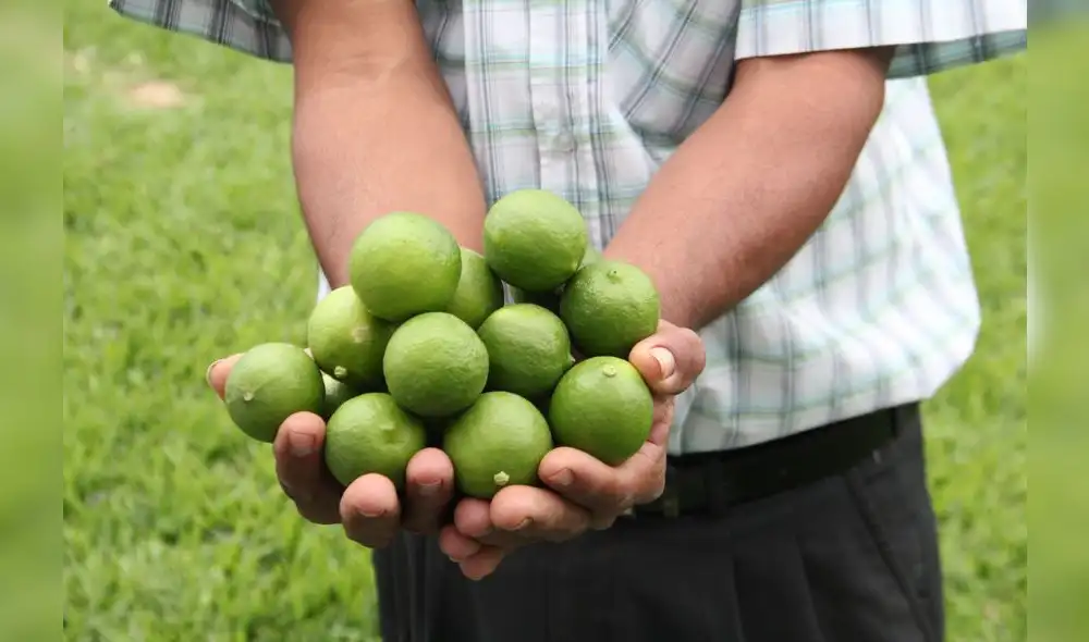 BCR: Alza de alimentos no afectará inflación pero sí la del agua BCR: Alza de alimentos no afectará inflación pero sí la del agua