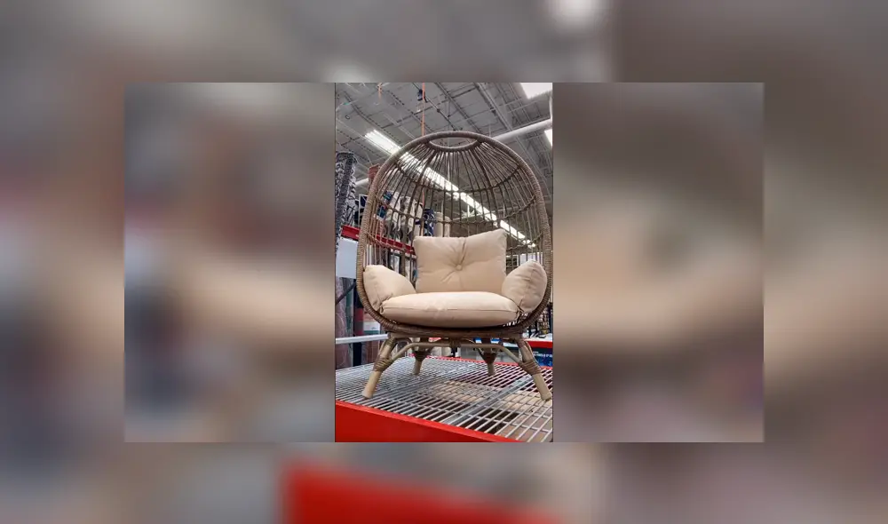 Desliza las imágenes para observar el comportamiento de un perro al creer que su dueña le compró una silla. Foto: Captura. Desliza las imágenes para observar el comportamiento de un perro al creer que su dueña le compró una silla. Foto: Captura.