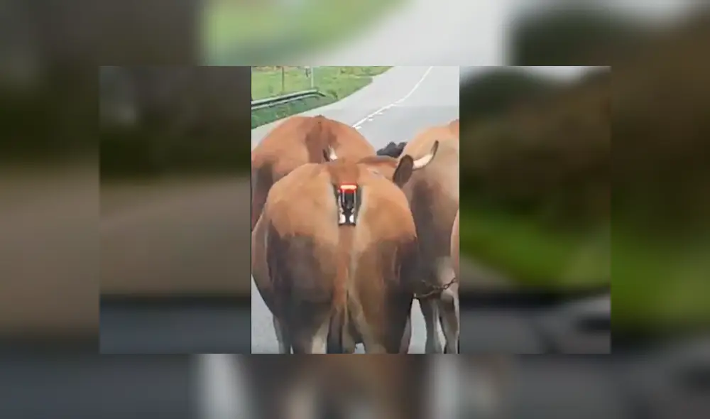 Video es viral en YouTube. El astuto hombre se ha ganado los aplausos de varios usuarios en las redes con su singular ocurrencia