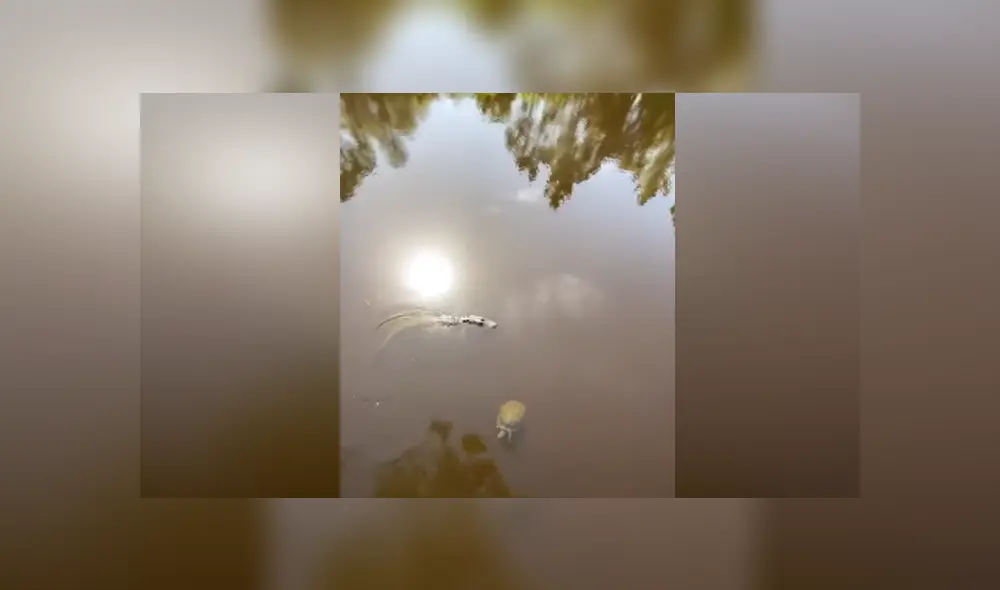 Desliza hacia la izquierda para ver las imágenes del viral de YouTube. Foto: Captura. Desliza hacia la izquierda para ver las imágenes del viral de YouTube. Foto: Captura.