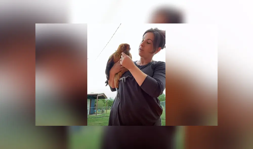 Desliza hacia la izquierda para ver las imágenes del viral de Facebook. Foto: Captura. Desliza hacia la izquierda para ver las imágenes del viral de Facebook. Foto: Captura.