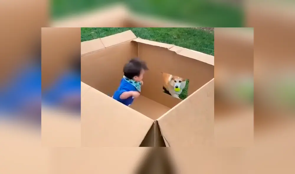 Desliza las imágenes para apreciar el conmovedor momento entre un bebé junto a su adorada mascota.