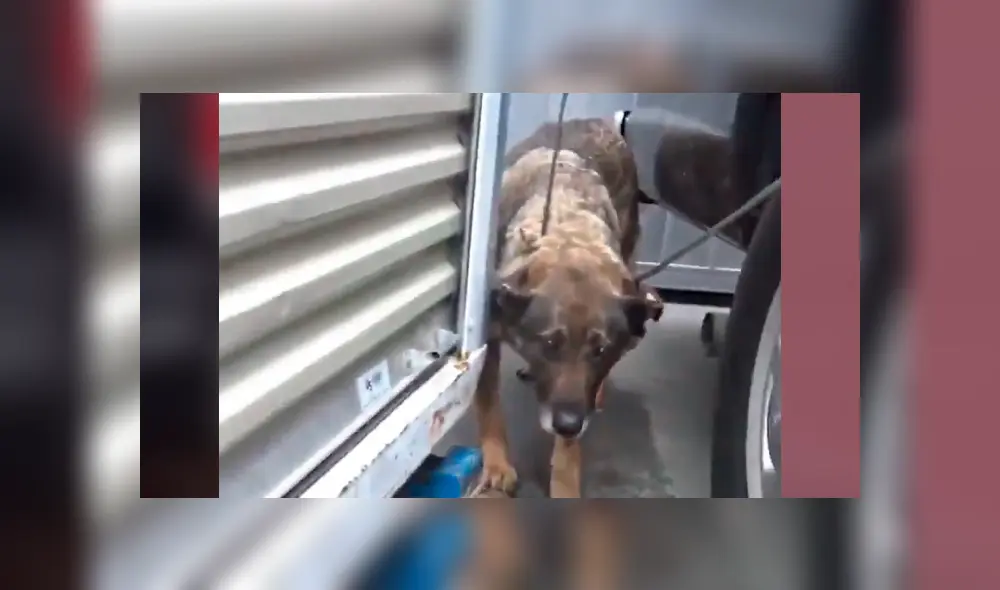 Desliza hacia la izquierda para ver el conmovedor rescate del video viral de Facebook.