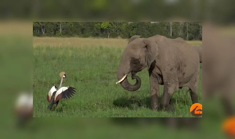 Desliza la imagen de YouTube para ver todas las fotos.