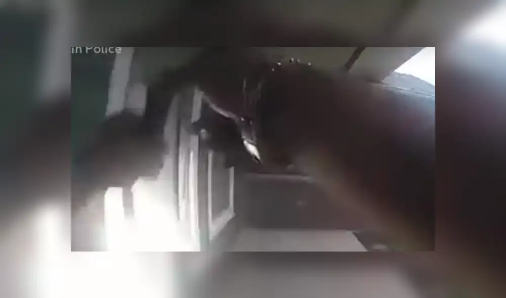 YouTube viral: Chica oye extraños ruidos, llama a policías y descubren misteriosa criatura [VIDEO]