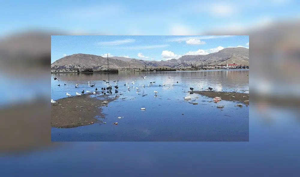 Recién en setiembre se firmará contrato para ejecutar proyecto de descontaminación del Lago Titicaca Recién en setiembre se firmará contrato para ejecutar proyecto de descontaminación del Lago Titicaca