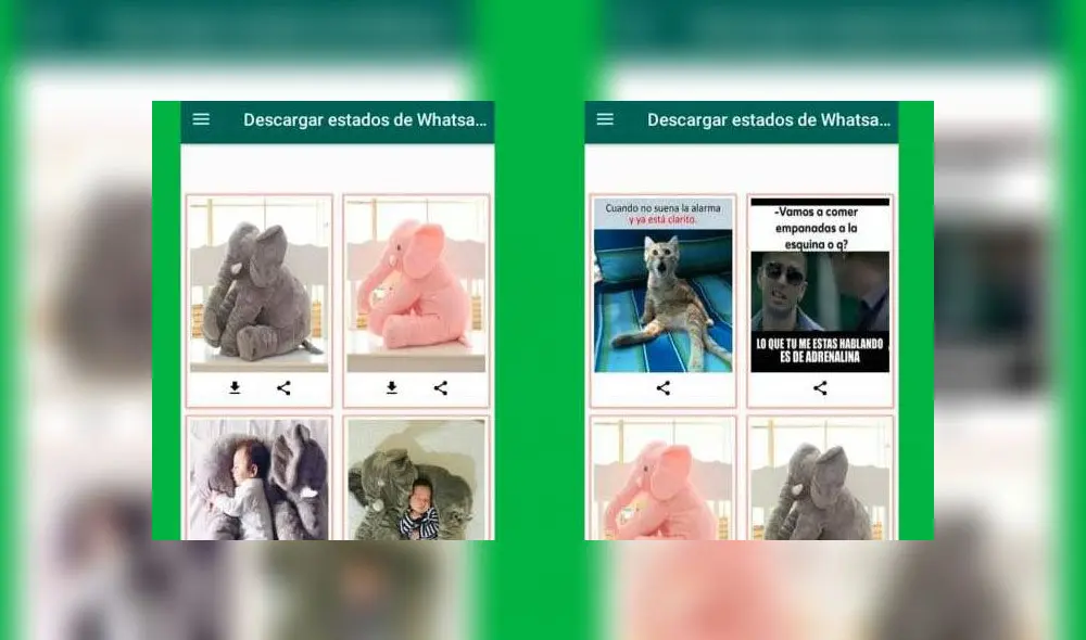 Los estados de WhatsApp son cada vez más populares.