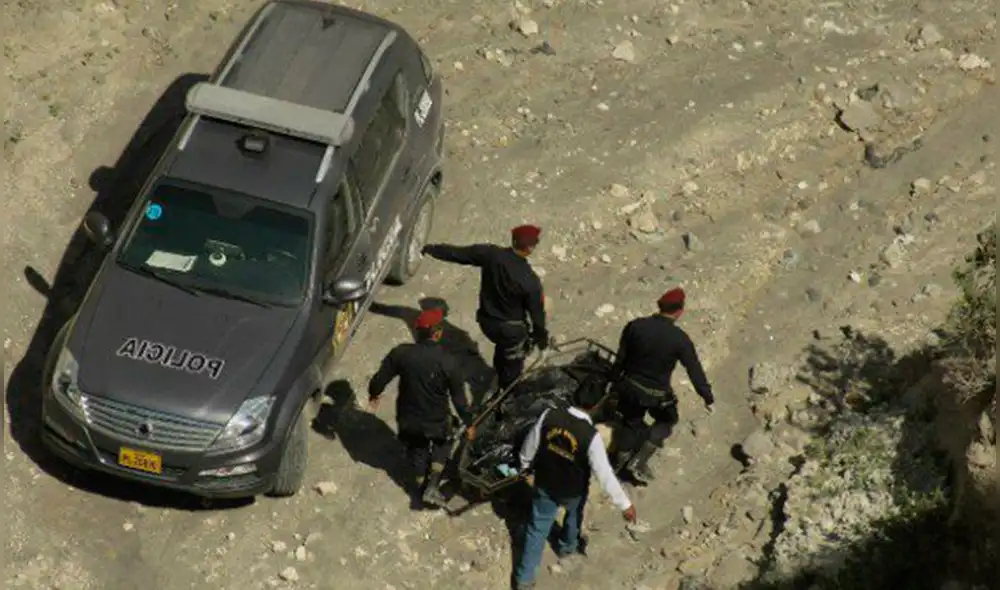 Puno: Decomisan más de 250 kilos de cocaína