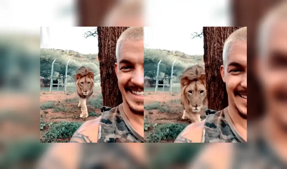 Facebook viral: joven ingresa a santuario de león para tomarse ‘selfie’, sin imaginar efusiva reacción del depredador