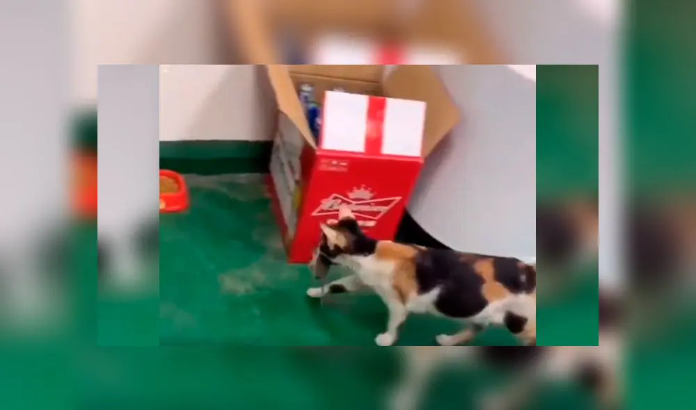 Desliza para ver los detalles del video viral publicado en YouTube. Foto: Captura. Desliza para ver los detalles del video viral publicado en YouTube. Foto: Captura.